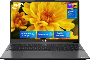 NIMO 15.6 IPS FHD-Laptop, Intel 4 Cores Pentium N100 (Beat to i3-1115G4 Up to 3.4GHz) 8GB RAM 128GB SSD Laptop-Computer with Fingerprint Backlit Keyboard 65W Type-C Win 11 Gray (Renewed)